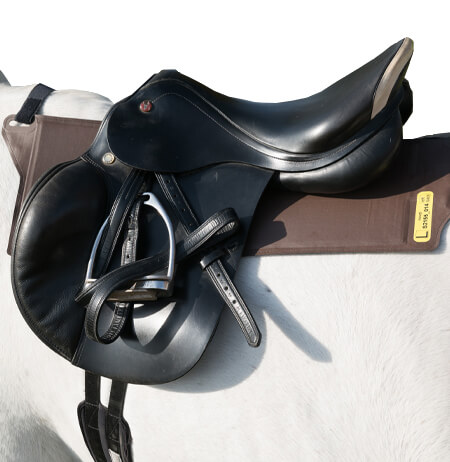 horse and saddle with pliance sensor reading pressure data