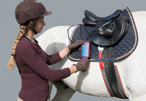woman with horse and saddle with pliance sensor reading pressure data
