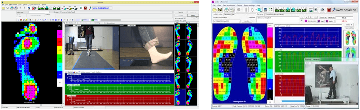 emed and pedar Recorder screen capture